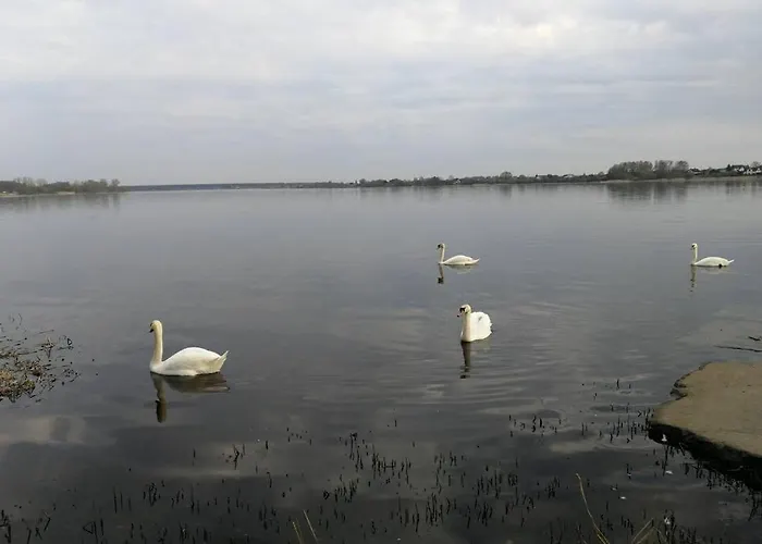 Dzīvoklis Latgales 266 6 Self Check In Out River 200m
