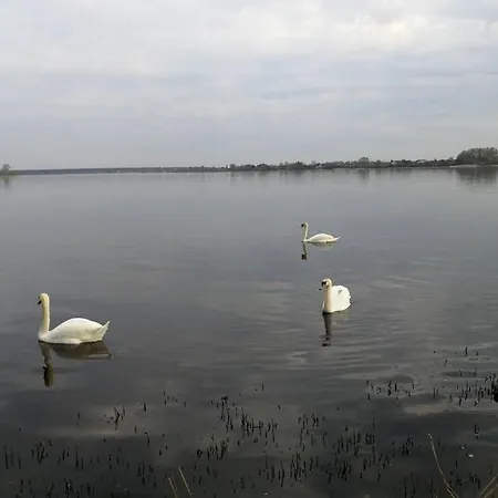 Apartament Latgales 266 6 Self Check In Out River 200m